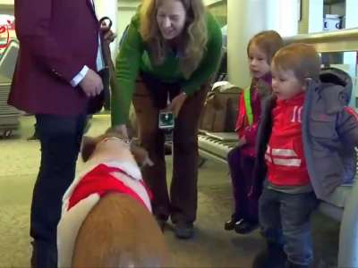 [视频]关怀！ 美国机场用宠物猪安抚乘客