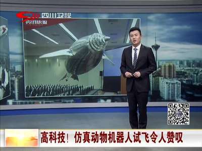 [视频]高科技！仿真动物机器人试飞令人赞叹