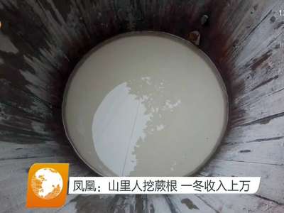 凤凰：山里人挖蕨根 一冬收入上万