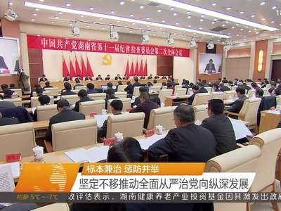 中共湖南省第十一届纪委第二次全会召开 杜家毫讲话 许达哲主持 李微微 乌兰等出席