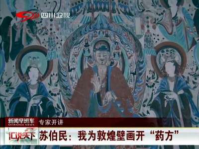 [视频]苏伯民：我为敦煌壁画开“药方”