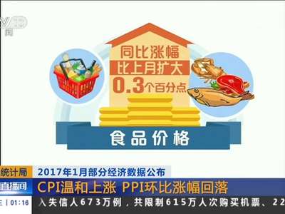 [视频]2017年1月部分经济数据公布 国家统计局：CPI温和上涨 PPI环比涨幅回落