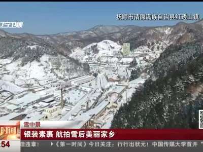 [视频]雪中景 银装素裹 航拍雪后美丽家乡