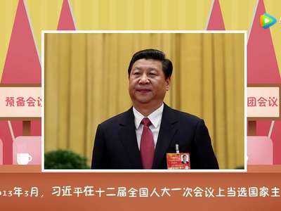 [视频]1分钟视频了解习近平这几年的两会时间