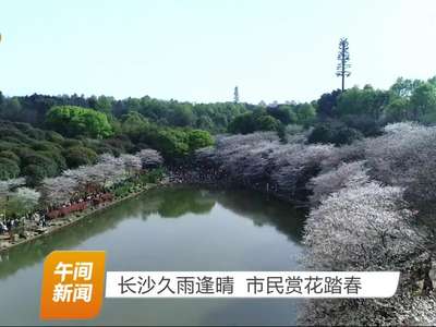 长沙久雨逢晴 市民赏花踏青