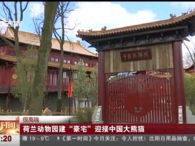 [视频]荷兰动物园建“豪宅”迎接中国大熊猫