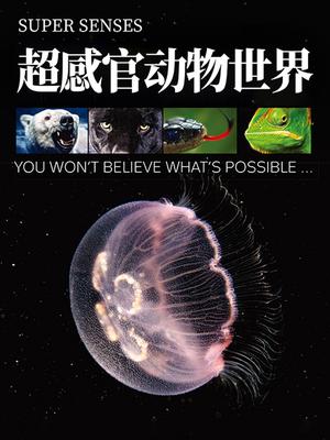 超感官动物世界