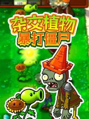 植物大战僵尸杂交版大闯关