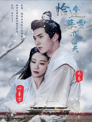 恰逢暮雪亦白头