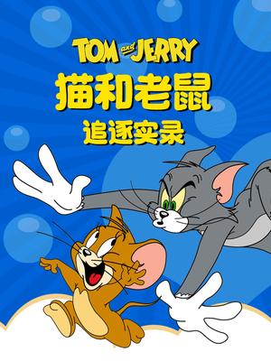 猫和老鼠追逐实录