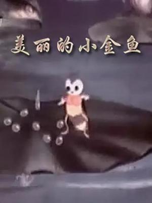 美丽的小金鱼