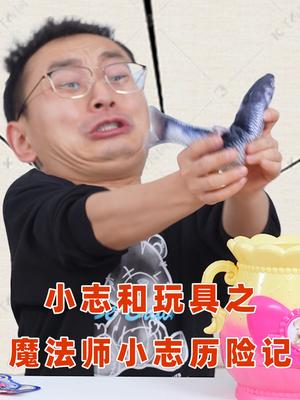 小志和玩具之魔法师小志历险记