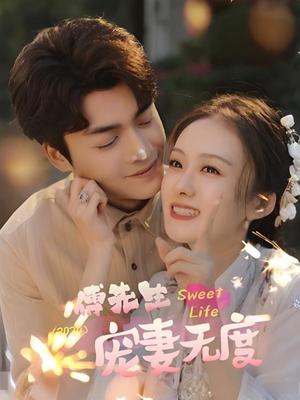 傅先生宠妻无度