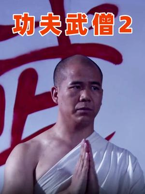 功夫武僧2