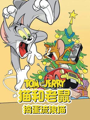 猫和老鼠捣蛋流浪猫