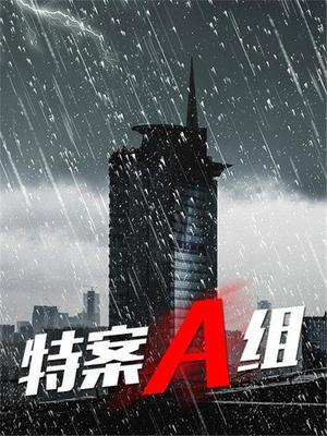 特案A组