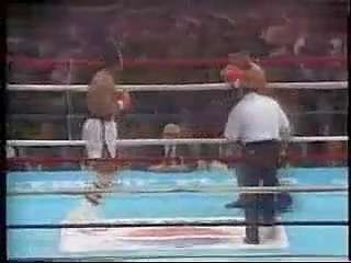 泰森拳击ko视频.