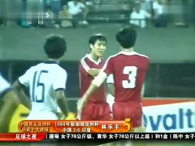 2015亚洲杯十佳进球_2015亚洲杯各队名单_2