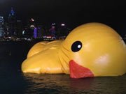 大黄鸭累倒