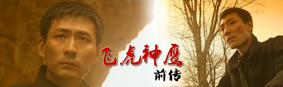 飞虎11