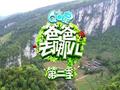 1.2;http://img1.c0.letv.com/ptv/player/swfPlayer.swf?id=20160271&isPlayerAd=0&isRotation=1&from=zw_renren