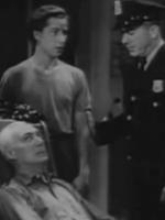 尼斯布鲁克林大桥