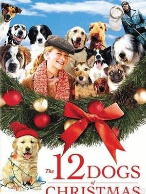 Story movie - 圣诞前的十二只小狗