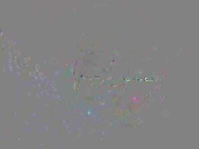 《新娱乐在线》20121227:文章《小爸爸》片场