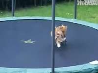 玩耍尽然趴了人家<em>胸罩</em>_扒胸门_泳池大战嗯啊