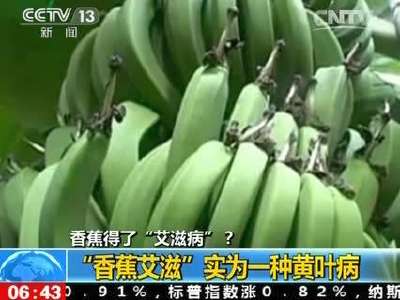 [视频]香蕉得了“艾滋病”？