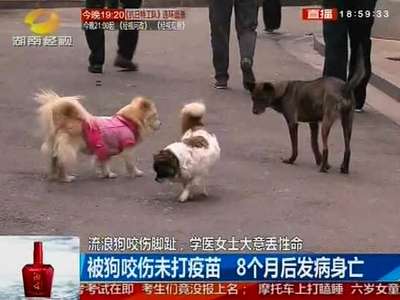 流浪狗咬伤脚趾 学医女士大意丢生命 