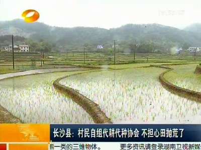 长沙县：村民自组代耕代种协会 不担心田抛荒了