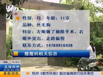 美女悬赏一万元寻狗