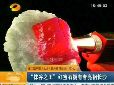 第二届中国（长沙）国际矿博会倒计时5天