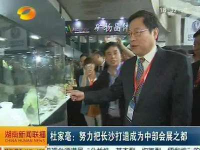 杜家毫宣布第二届中国（长沙）国际矿博会开幕