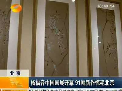 杨福音中国画展开幕 91幅新作惊艳北京