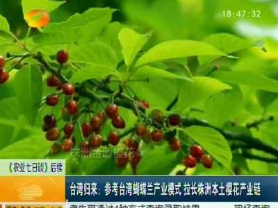 参考台湾蝴蝶兰产业模式 拉长株洲本土樱花产业链