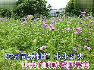 基督教相思美歌谱歌词图片分享下载