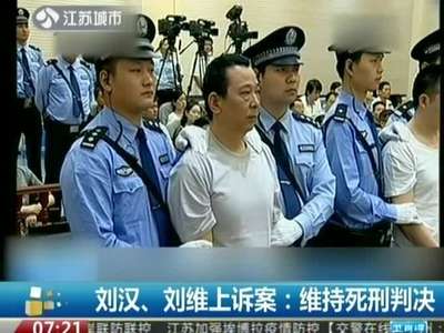 湖北咸宁:刘维刘汉等上诉案休庭 择日宣判