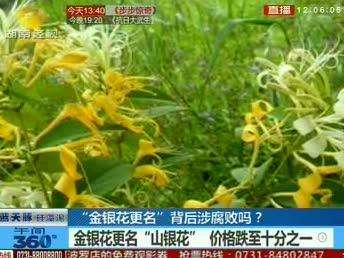 “金银花更名”背后涉腐败吗？