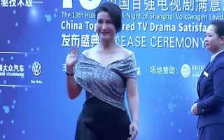 第十三届华鼎奖红毯 演员王茜