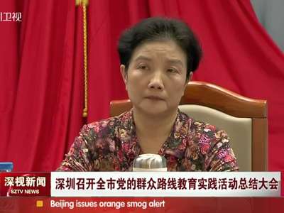 大洞总结群众党的初中名单活动实践教育录取深圳口召开全市路线一中图片