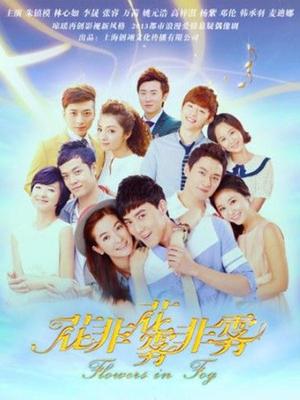 花非花雾非雾DVD版