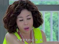 美妙的奇遇 68集