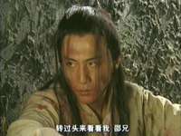 有情鸳鸯无情剑 5集