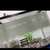 zoe__137_142