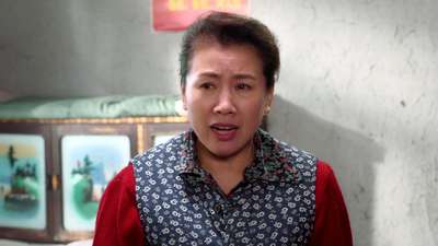 青谷子37电视剧_手机乐视视频