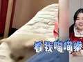 菠萝姐姐之爆笑工厂 4集