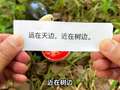 玩不累妈妈玩具拆箱第二季 91集