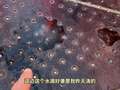 三哥超会玩之户外寻宝记 14集